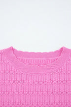 Solid Ribbed Crewneck Sweater