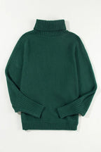 Merry Embroidered Puff Sleeve Turtleneck