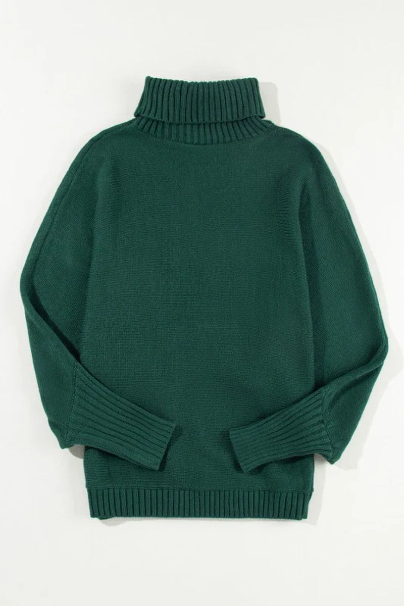 Merry Embroidered Puff Sleeve Turtleneck