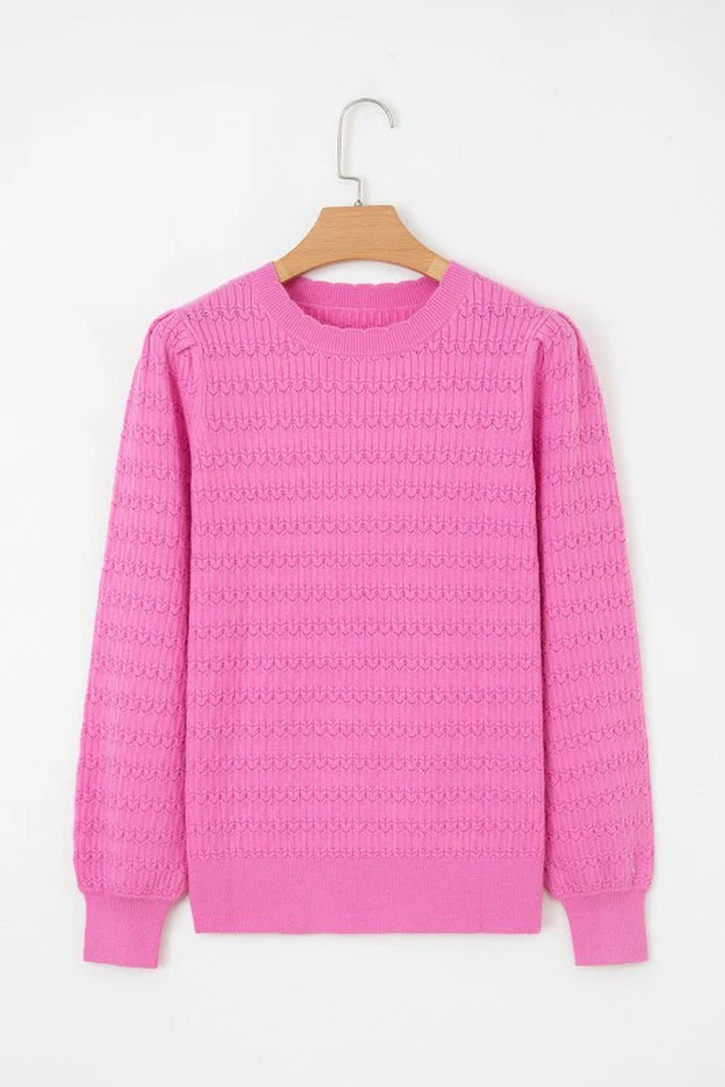 Solid Ribbed Crewneck Sweater