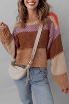 Colorblock Cropped Sweater
