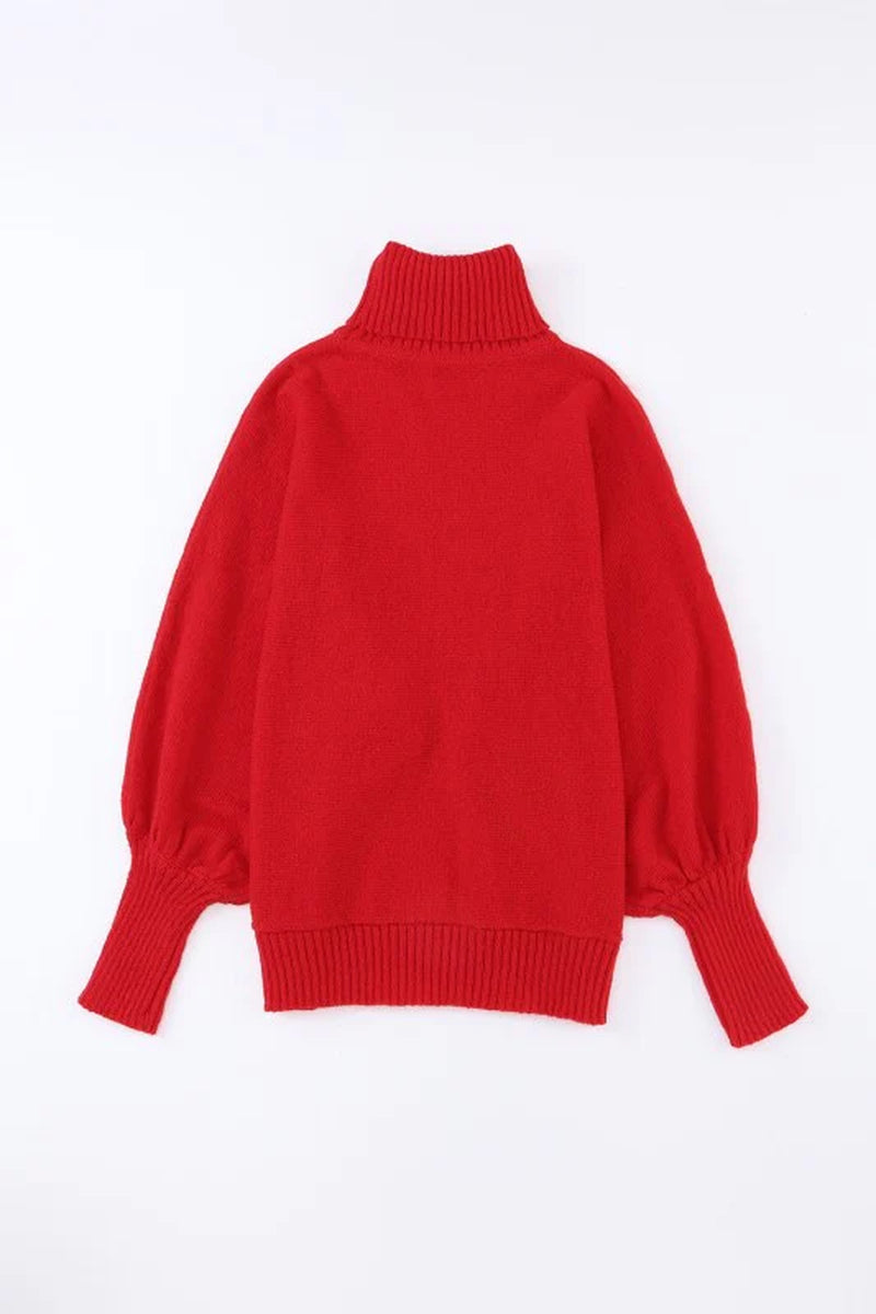 Merry Embroidered Puff Sleeve Turtleneck