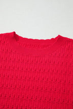 Solid Ribbed Crewneck Sweater